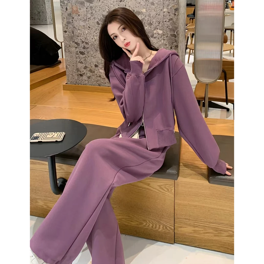 高级感气质休闲套装女2025秋季新款连帽卫衣+直筒裤时尚两件套
