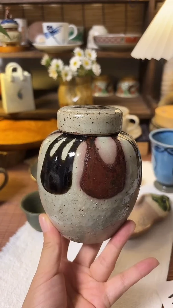 瓷片喵喵家都是大漂亮