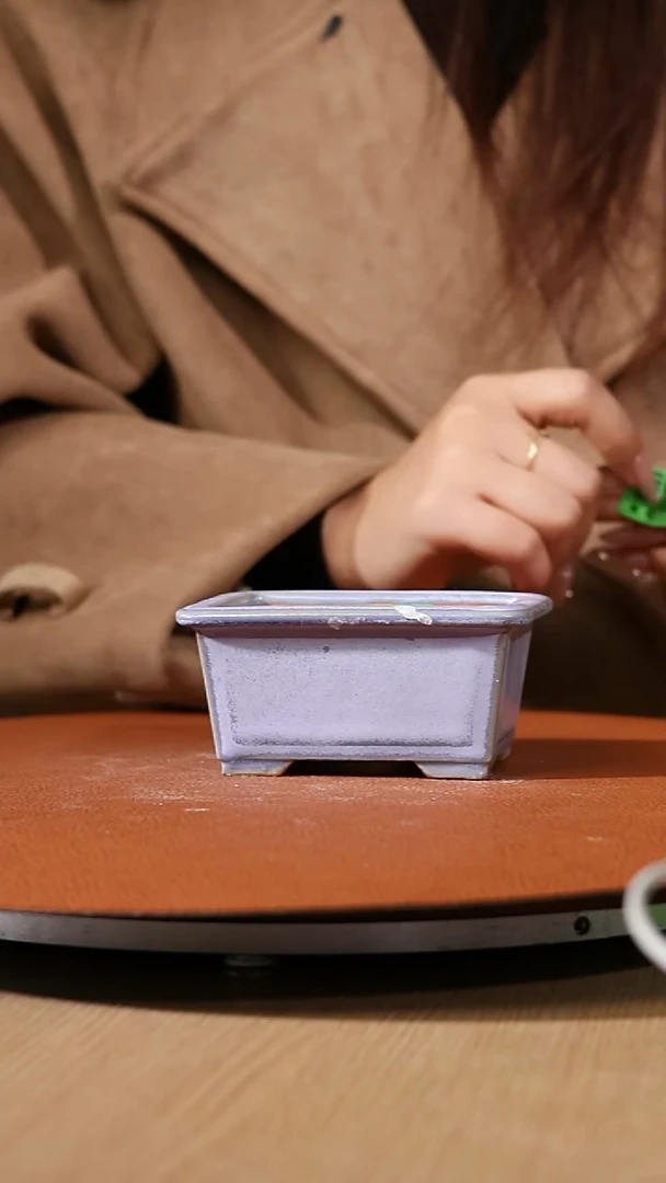 【石湾花盆】掌中宝600