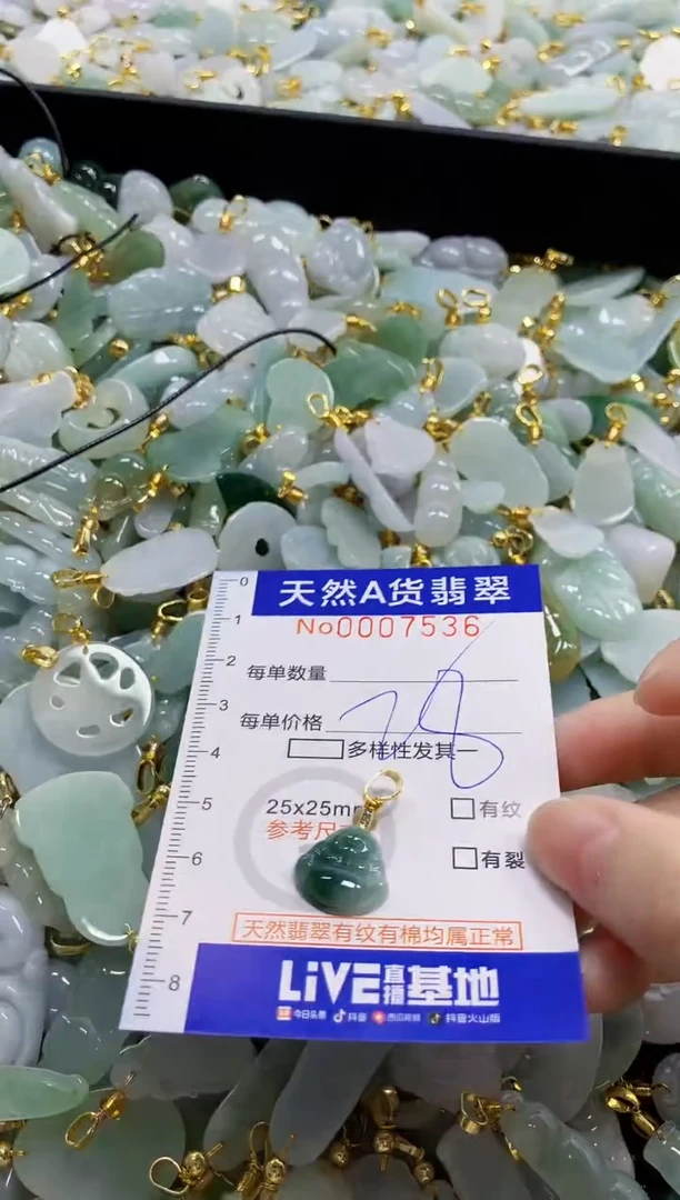 颈饰未镶嵌翡翠天然A货翡翠