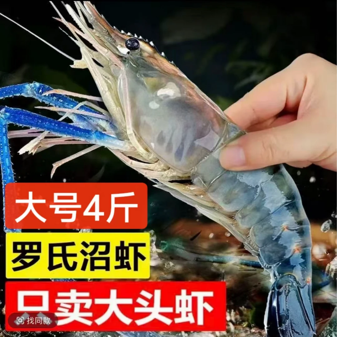 4斤新鲜大个头罗氏虾一斤10-15只左右 顺丰冷链速冻发货