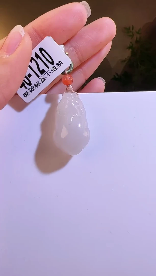 【闪购商品】和田玉颈饰未镶嵌1210貔貅