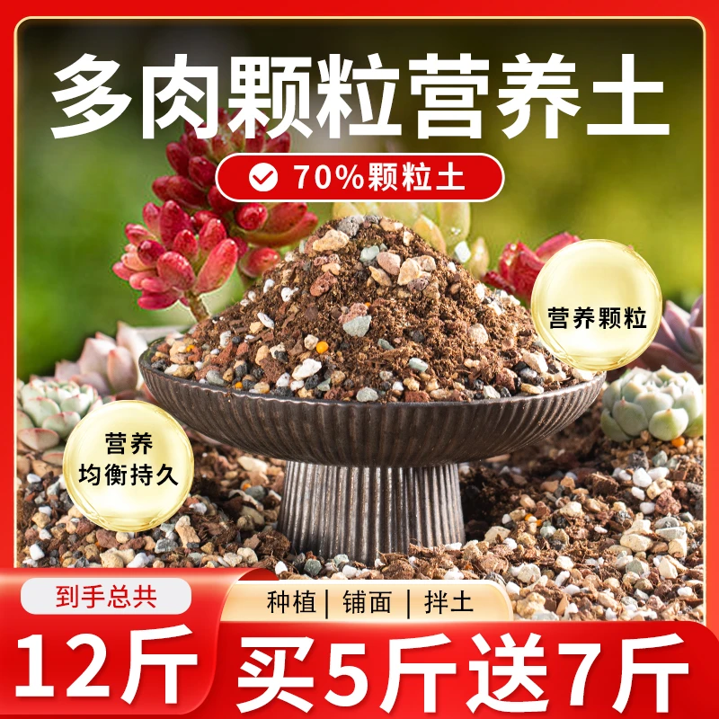 多肉土专用颗粒营养土植物进口泥船长花园铺面石叶插滤水促根透气