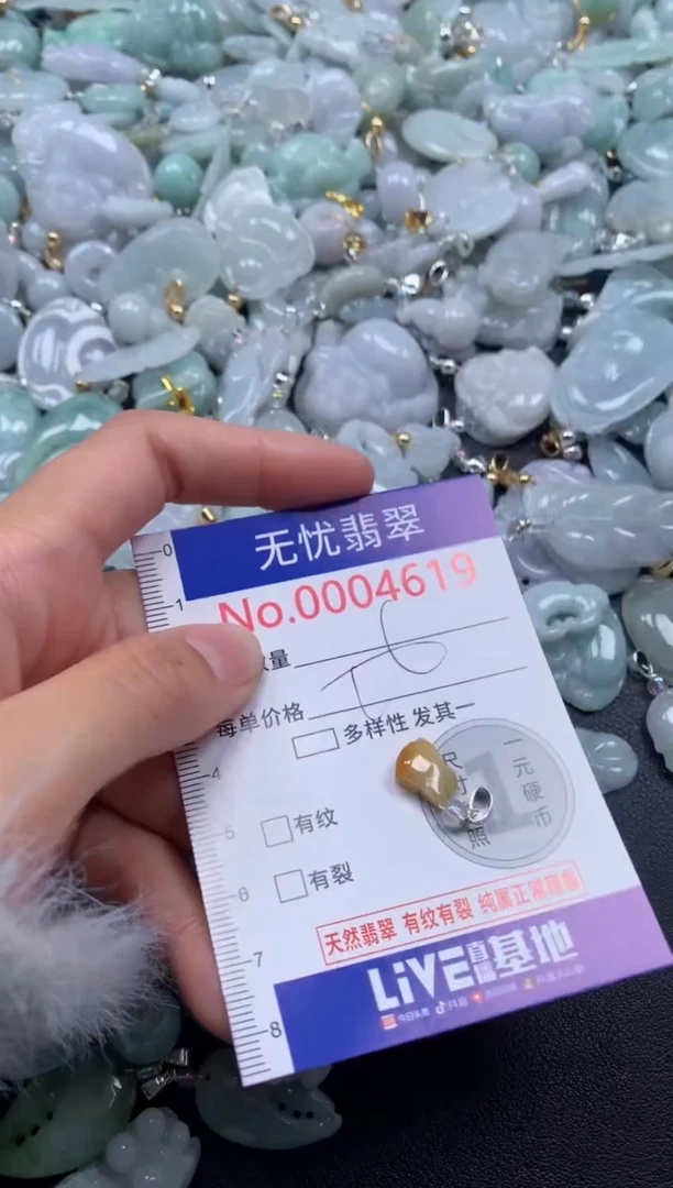 颈饰未镶嵌翡翠4619