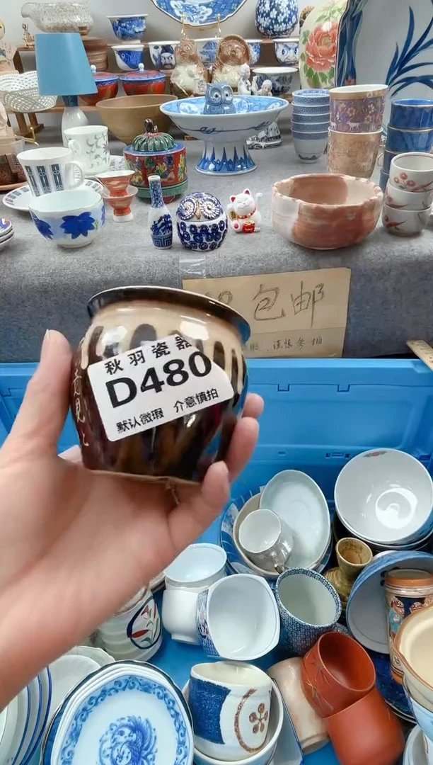 日式?默认微瑕秋羽D480