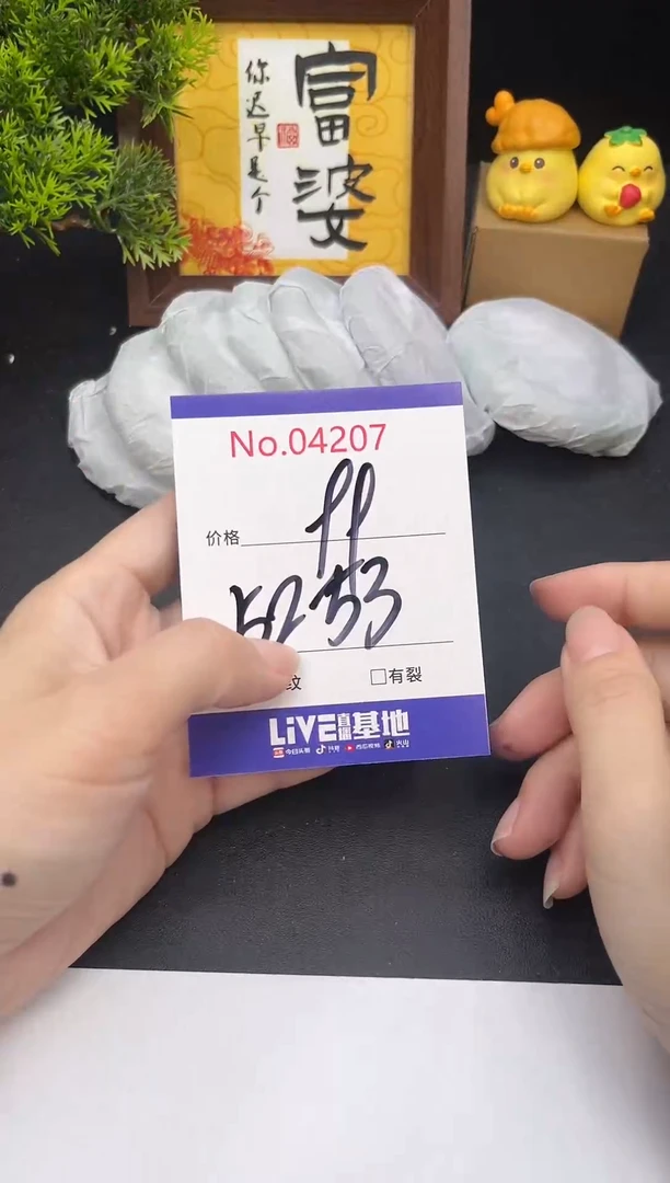 未镶嵌手镯翡翠4207