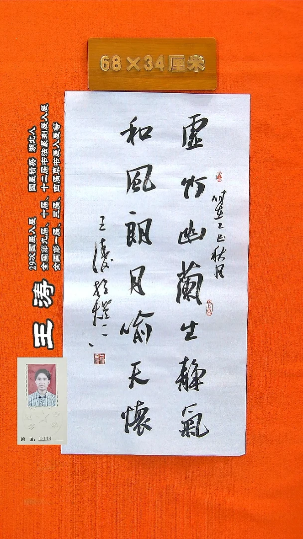 书法77a王涛书法作品