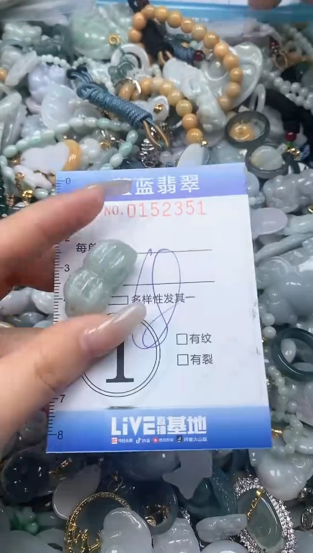 【闪购商品】翡翠颈饰未镶嵌闪购0152351