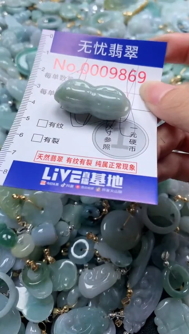 翡翠未镶嵌吊坠(不含链)9869