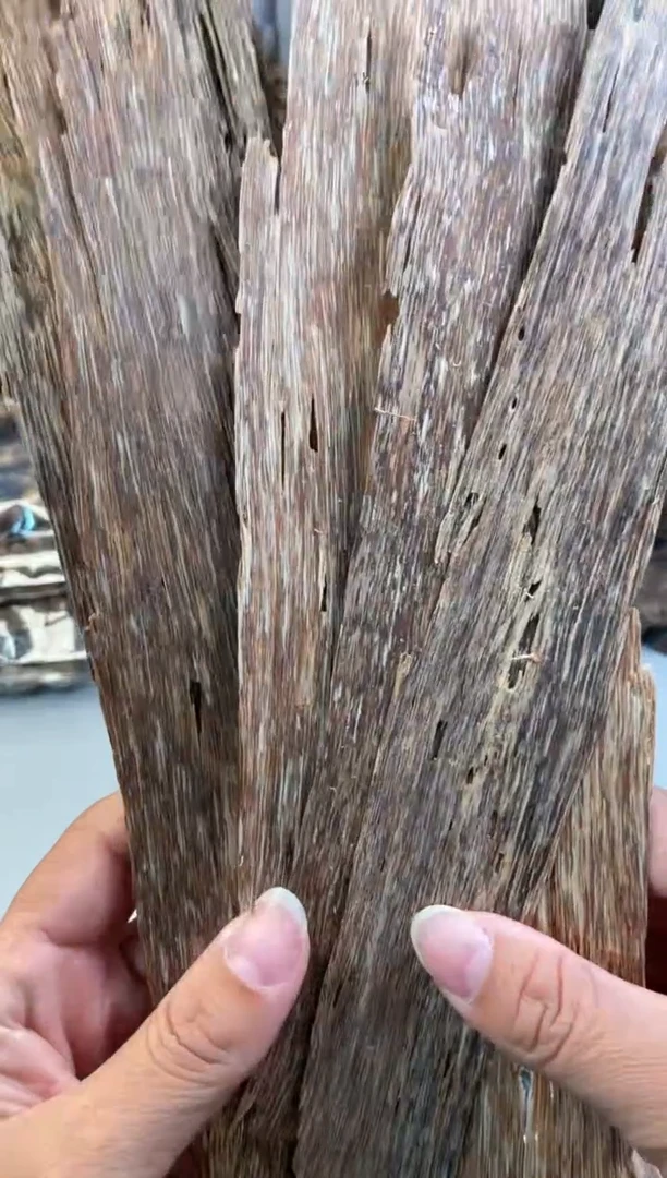 【闪购商品】沉香沉香碎屑越南芽庄越南芽庄