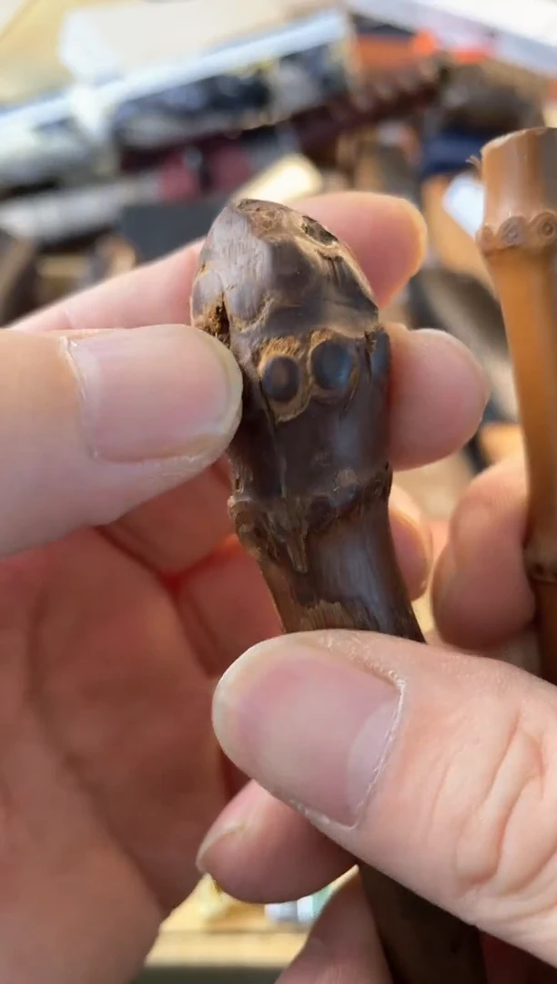 【闪购商品】瓷片cd郑正杂货品质保证