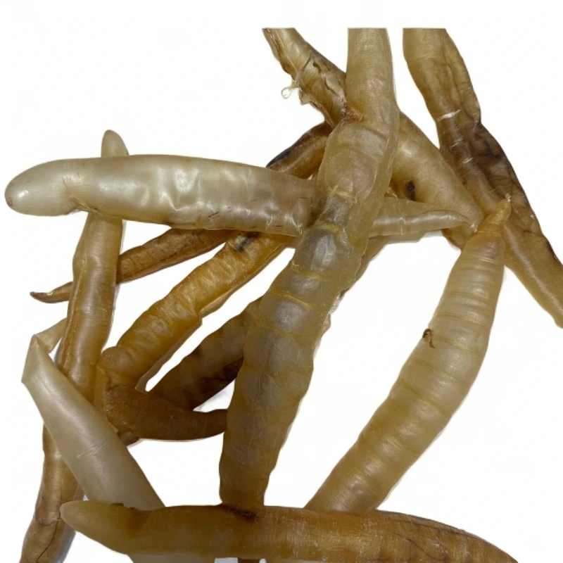 鳗鱼胶135克（29号）