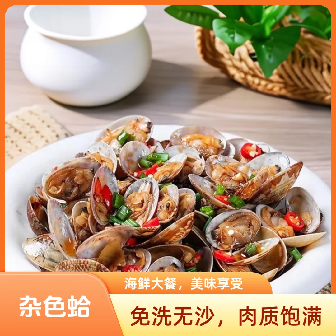 家常特色海鲜辽宁丹东冻煮真空杂色蛤新鲜速冻