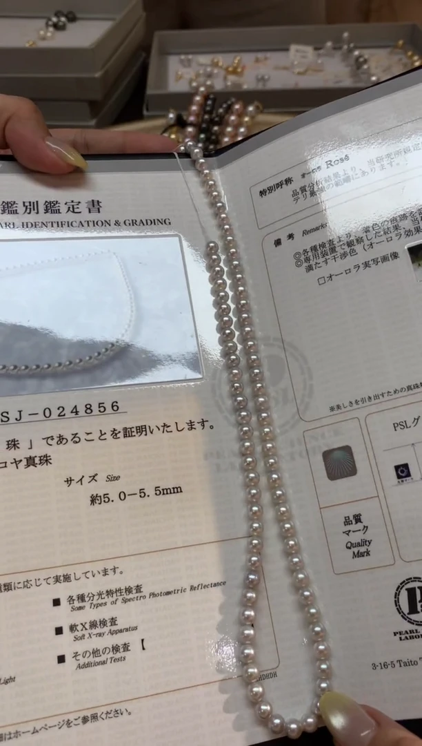 海水珍珠18K金镶嵌项链W41|多样性发货一件4980