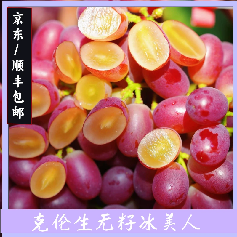 【顺丰快递】四川凉山克伦生葡萄无籽红提新鲜脆甜多汁饱满当季水果