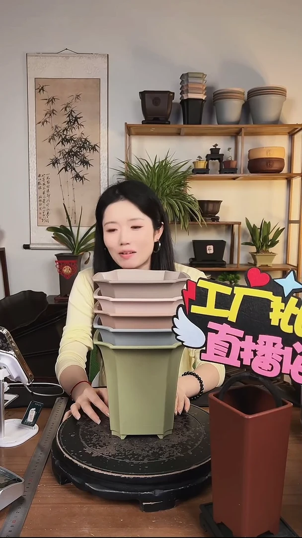 18四方尊 5只装混色