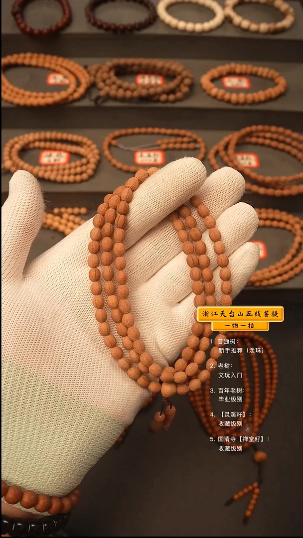 吊坠五线菩提@****?y脖挂