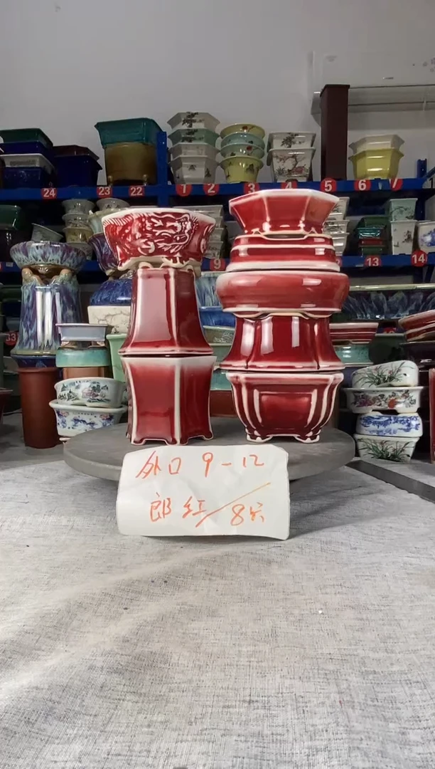 10616八只郎红花盆