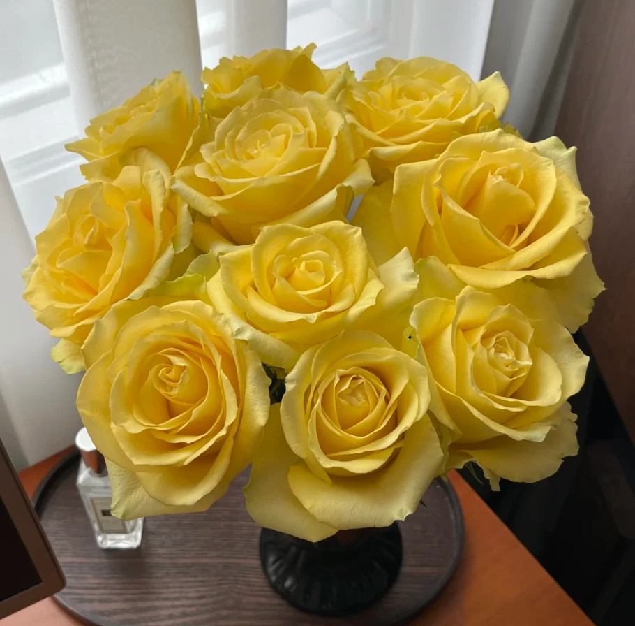 【1单包邮】烂漫沙滩玫瑰  生活鲜花  昆明基地直发