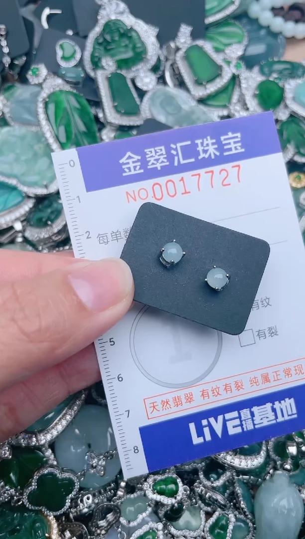 【闪购商品】翡翠颈饰未镶嵌17727.......1