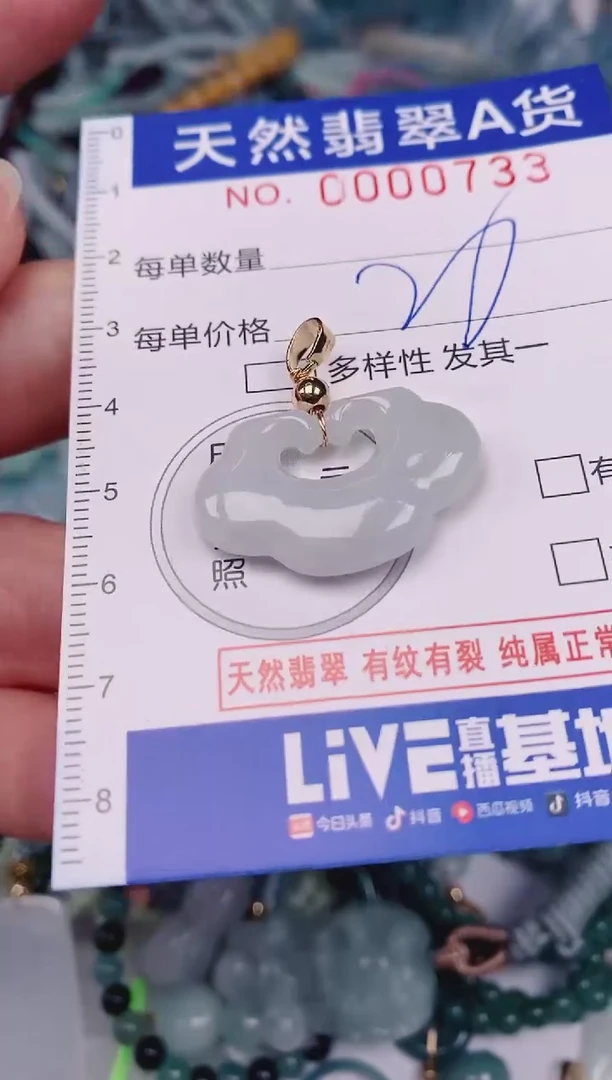 颈饰未镶嵌翡翠00000733