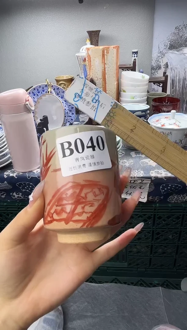 瓷片达**氏  B040