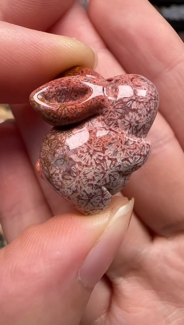 硅化珊瑚（珊瑚玉）未镶嵌颈饰200