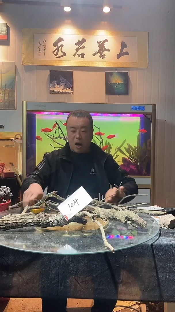 104号天然黄栎木1组适合80-90缸