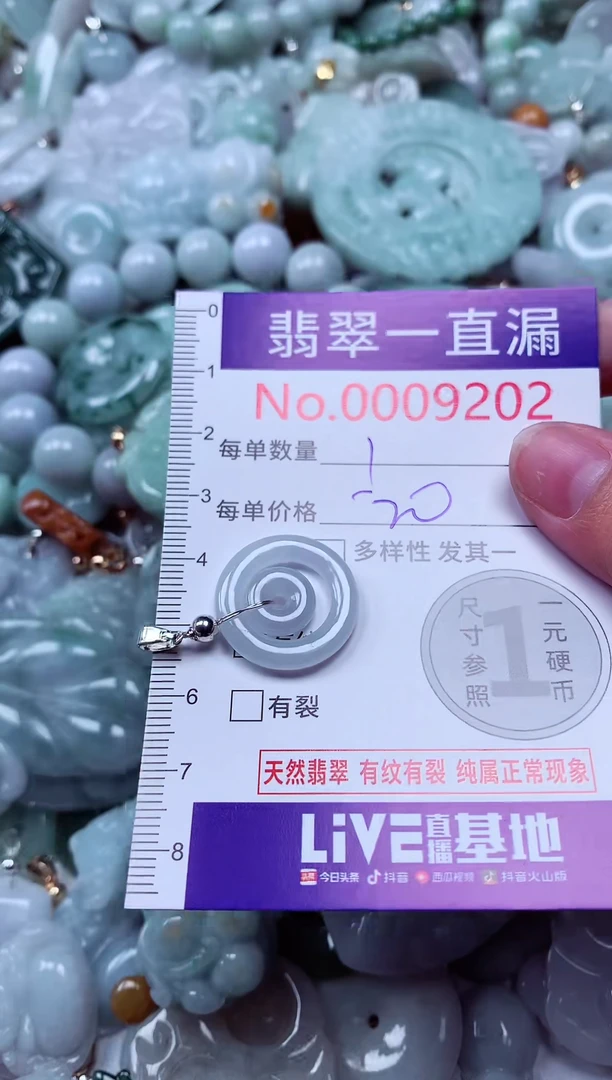 吊坠(不含链)未镶嵌翡翠9202
