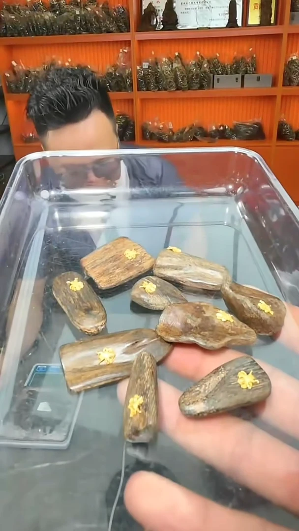 沉香吊坠s20号沉水野1颗多样性发一