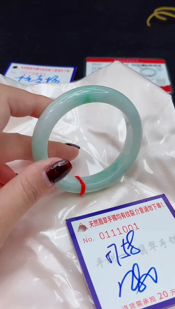 未镶嵌手镯翡翠1111111