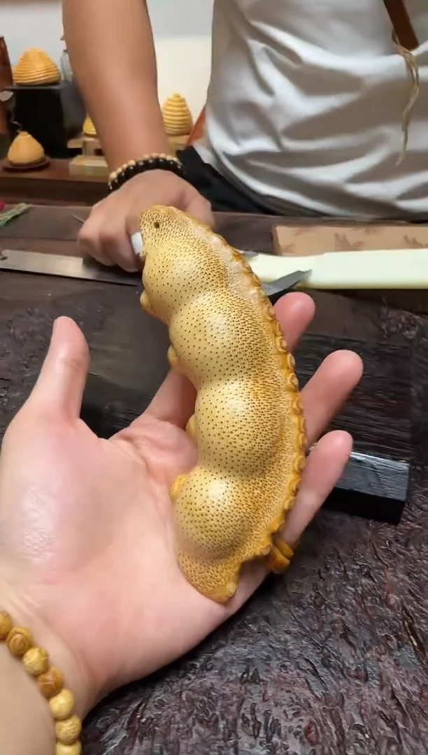 竹1631竹竹竹竹竹竹竹