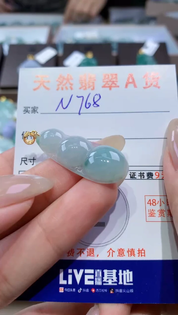 颈饰未镶嵌翡翠天然缅甸翡翠A货挂件