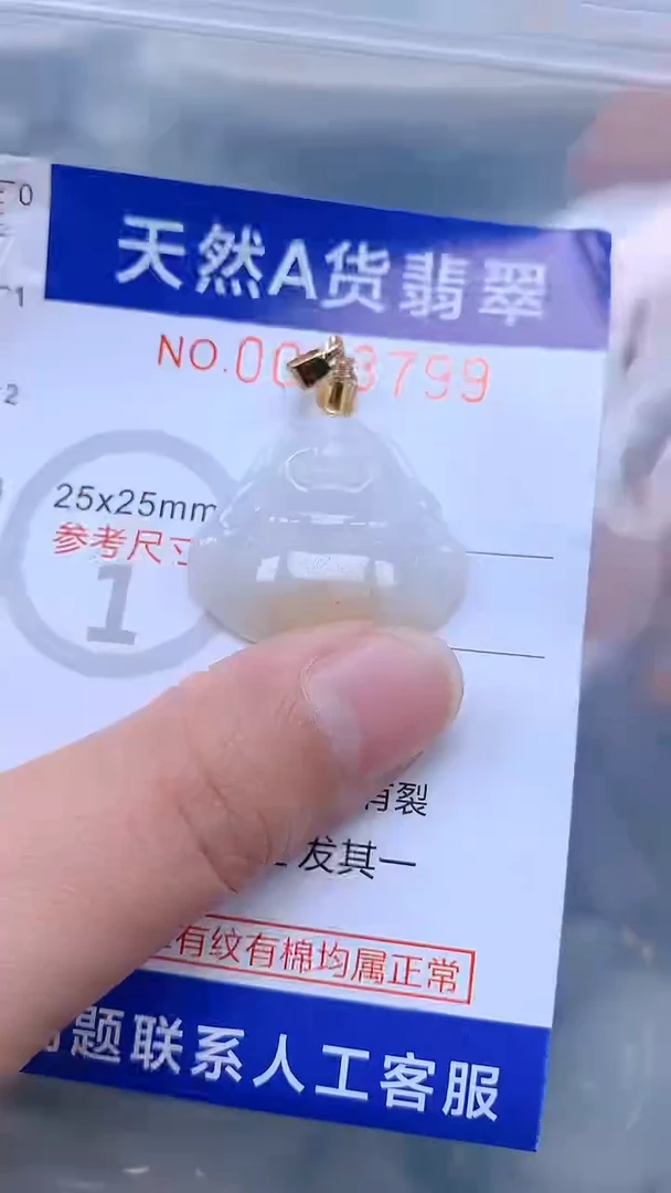 翡翠未镶嵌吊坠(不含链)1