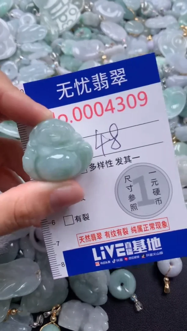 颈饰未镶嵌翡翠4309