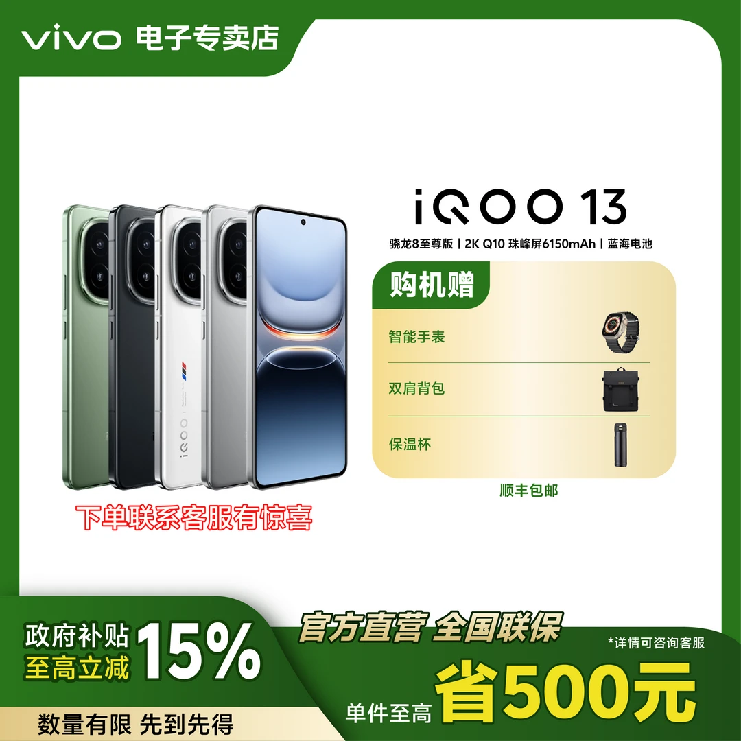 【国补专属】iQOO13 120W超快闪充6150mAh蓝海双芯电池