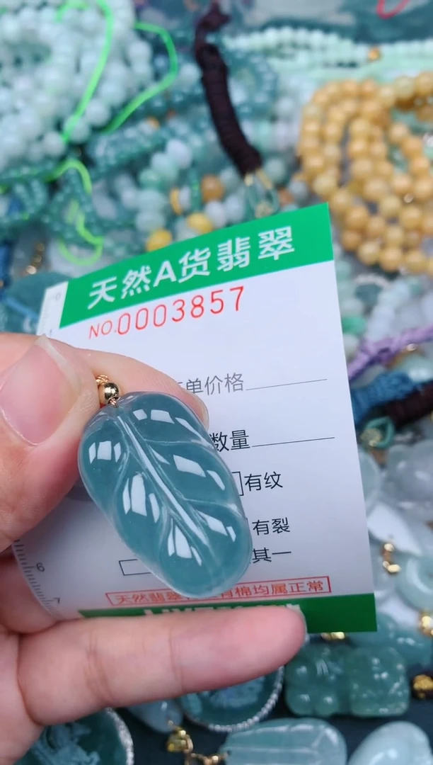 翡翠未镶嵌颈饰.0003857