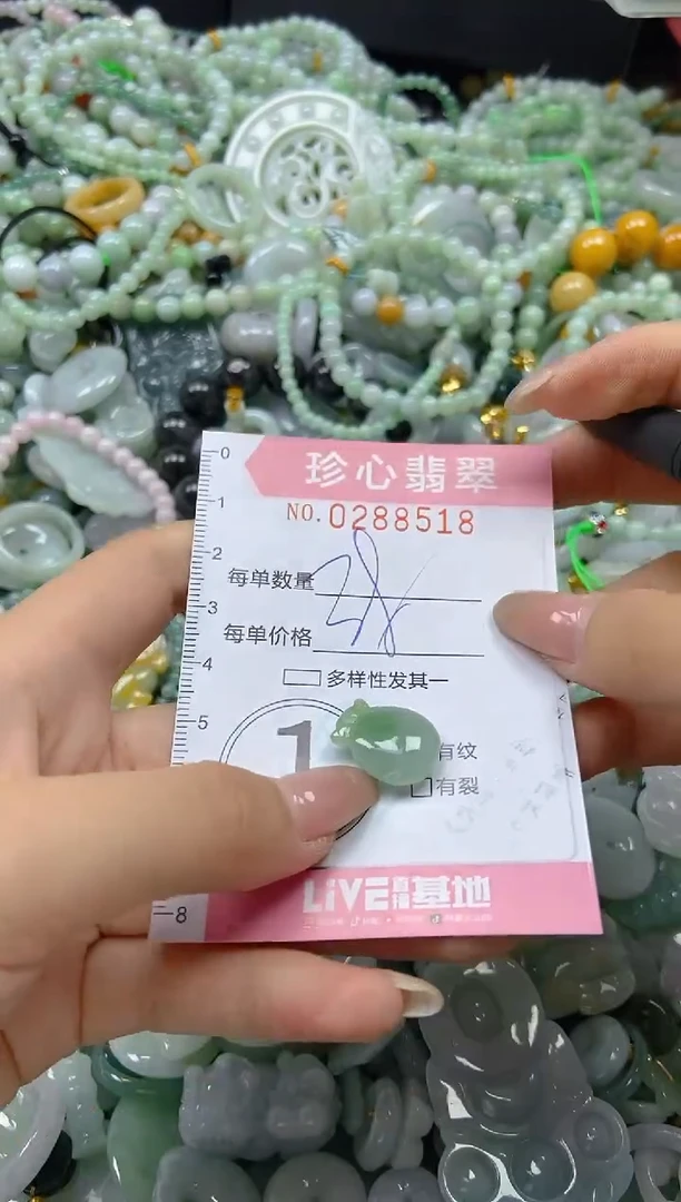 翡翠未镶嵌颈饰闪购0288518
