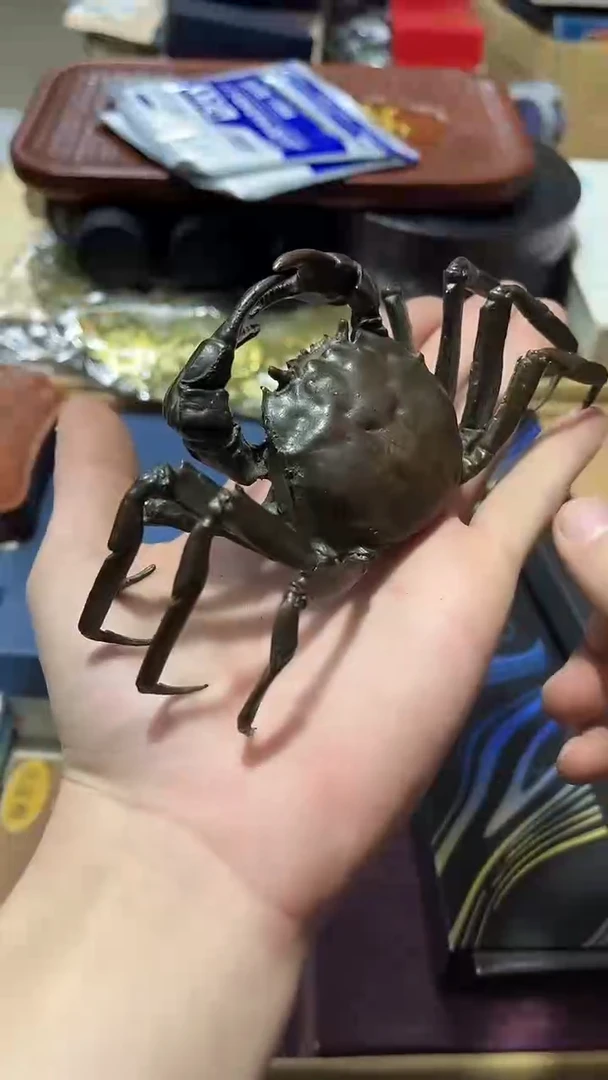 瓷片88888888888888888888888