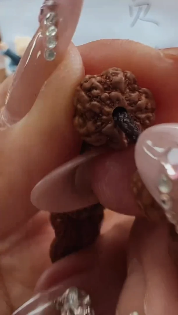 手串金刚菩提598老树梅花