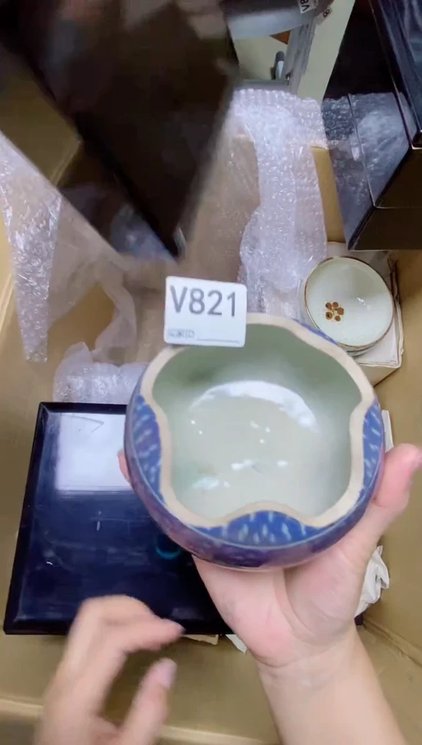 瓷片呱*娃V821默认微瑕，谨慎参拍