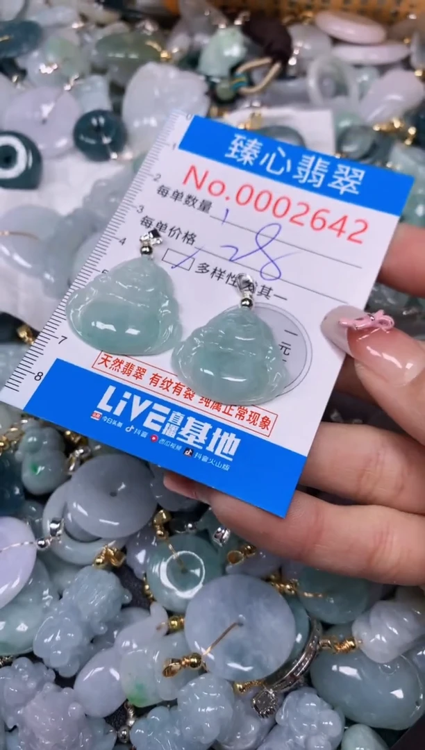 【闪购商品】翡翠颈饰未镶嵌多样性发其一2642