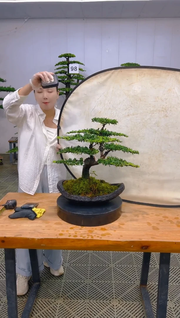 无花朵一物一拍一物一拍