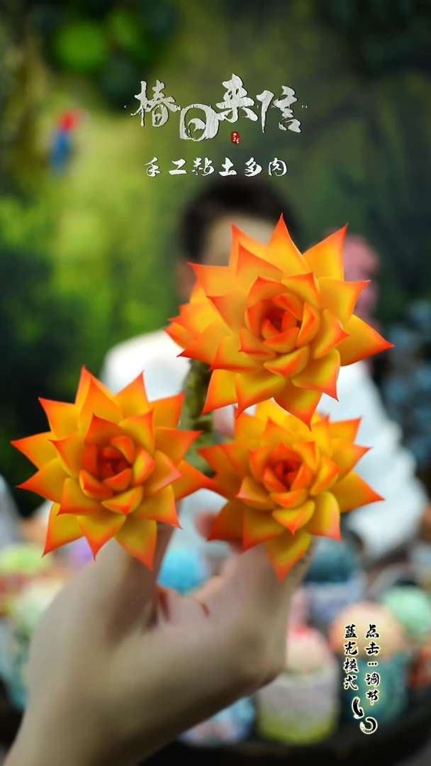萤火虫。。。。。。。。。。