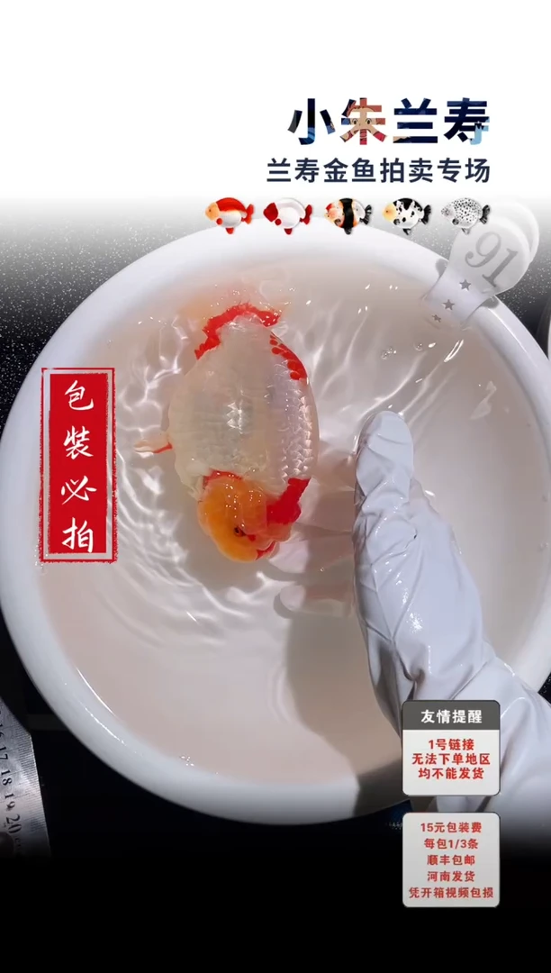 金鱼包装必拍未拍顺丰到付91号