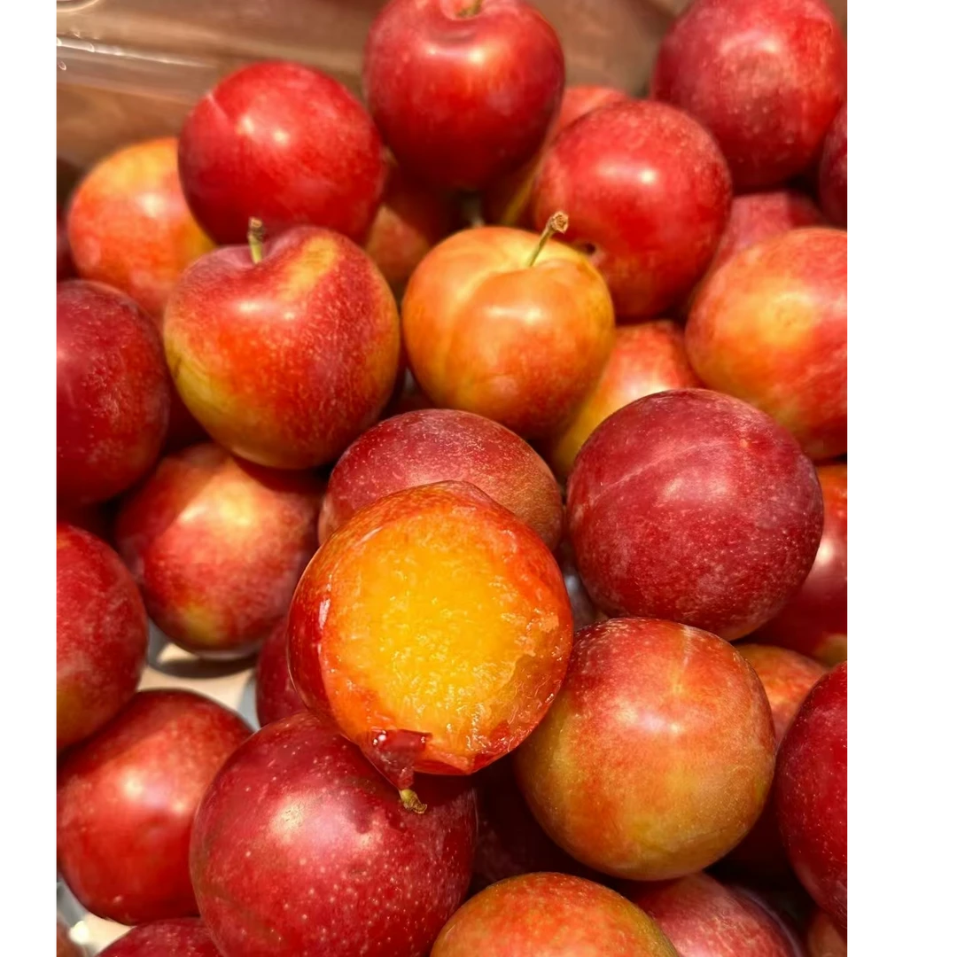 澳洲樱桃李500g/盒