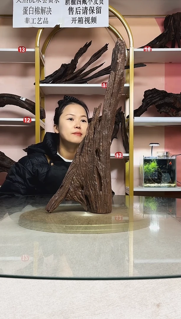 强**帅鱼缸造景沉木A974