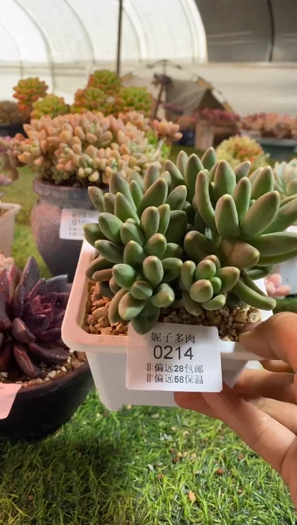 【闪购商品】0214a