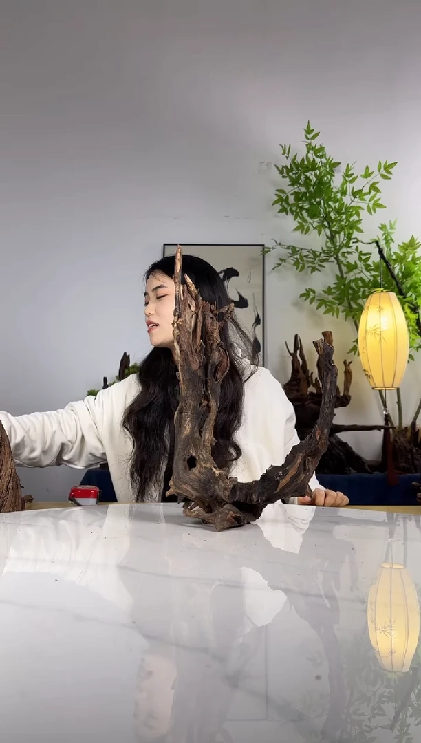 j*y拍这个定向编号61