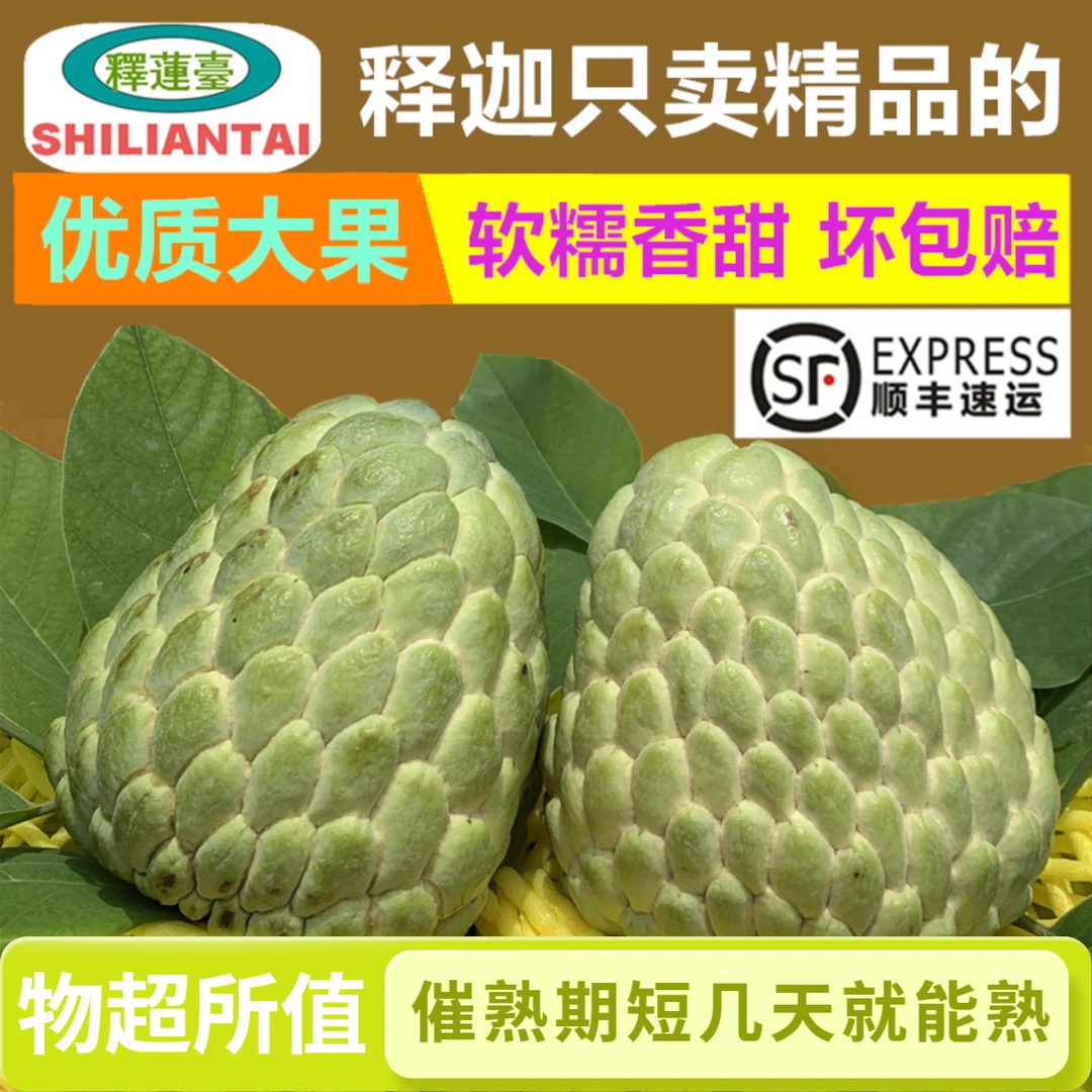 【正宗泰国释迦】大目释迦番荔枝释迦应季新鲜水果牛奶释迦顺丰